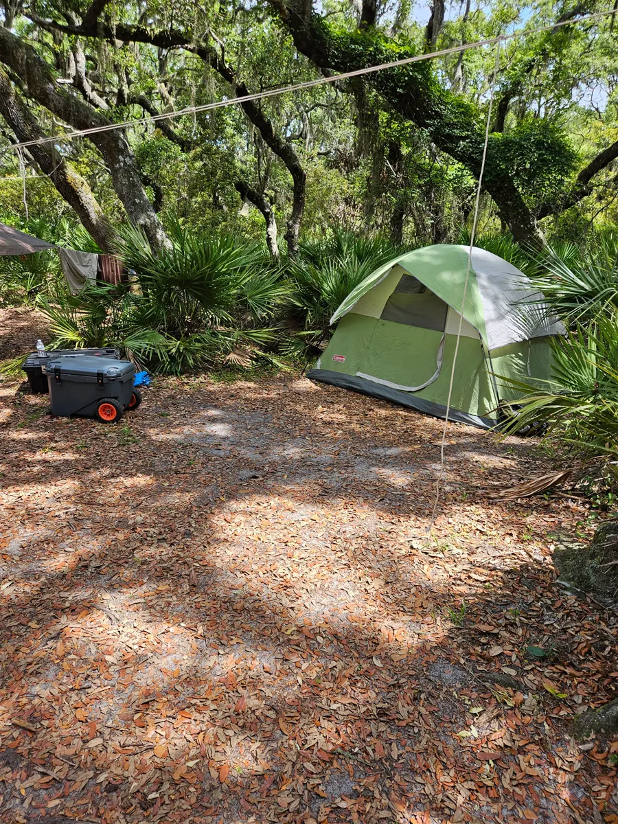 A green dome tent pitched among saw palmettos under moss-draped oaks, with a wheeled cooler nearby.