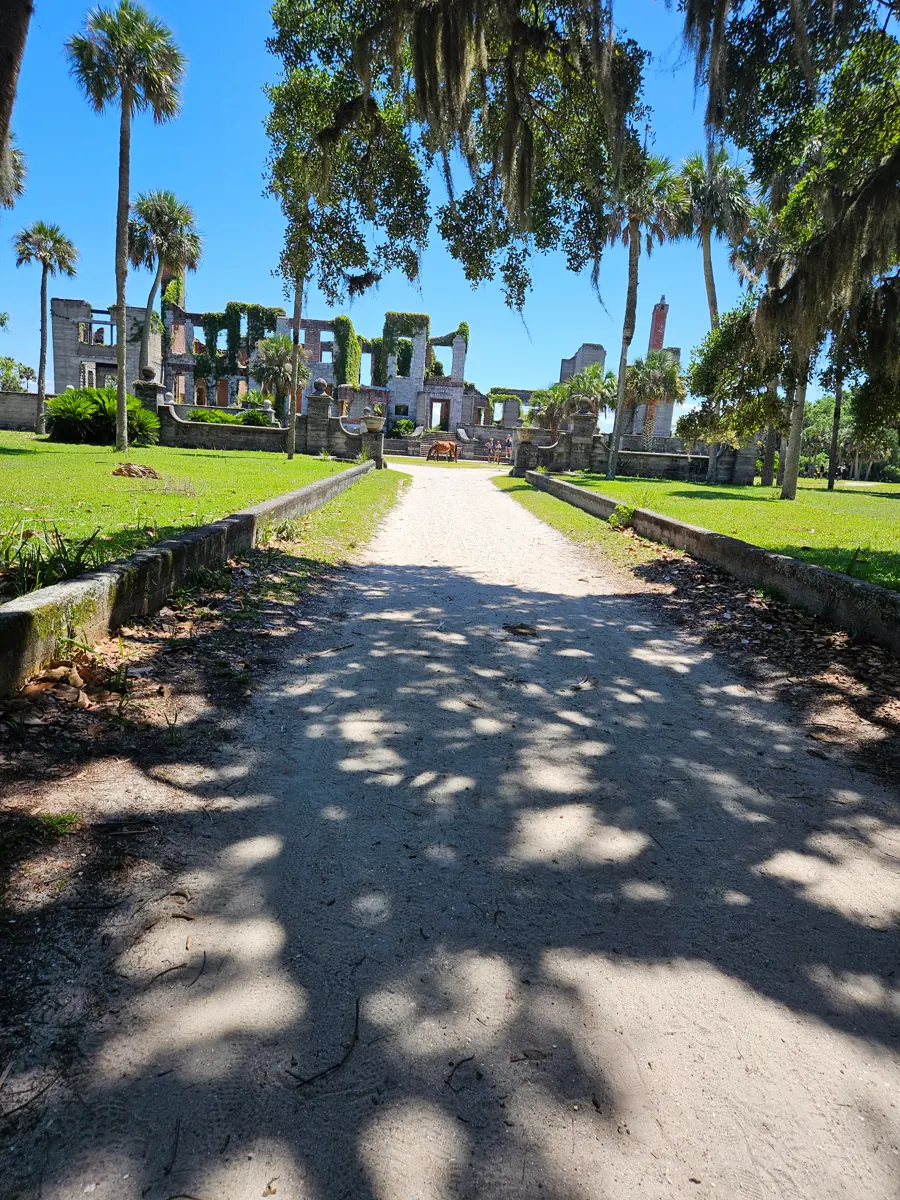 A sandy avenue lined with low walls and palms leading to a large roofless ruin covered in creeper, with a horse grazing in front of it.
