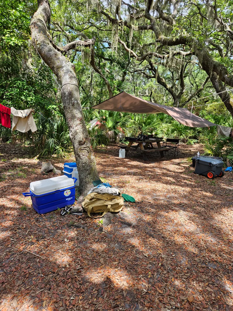 A campsite under live oaks hung with Spanish moss: a tarp strung between trees over a picnic table, coolers on the ground and laundry on a line.