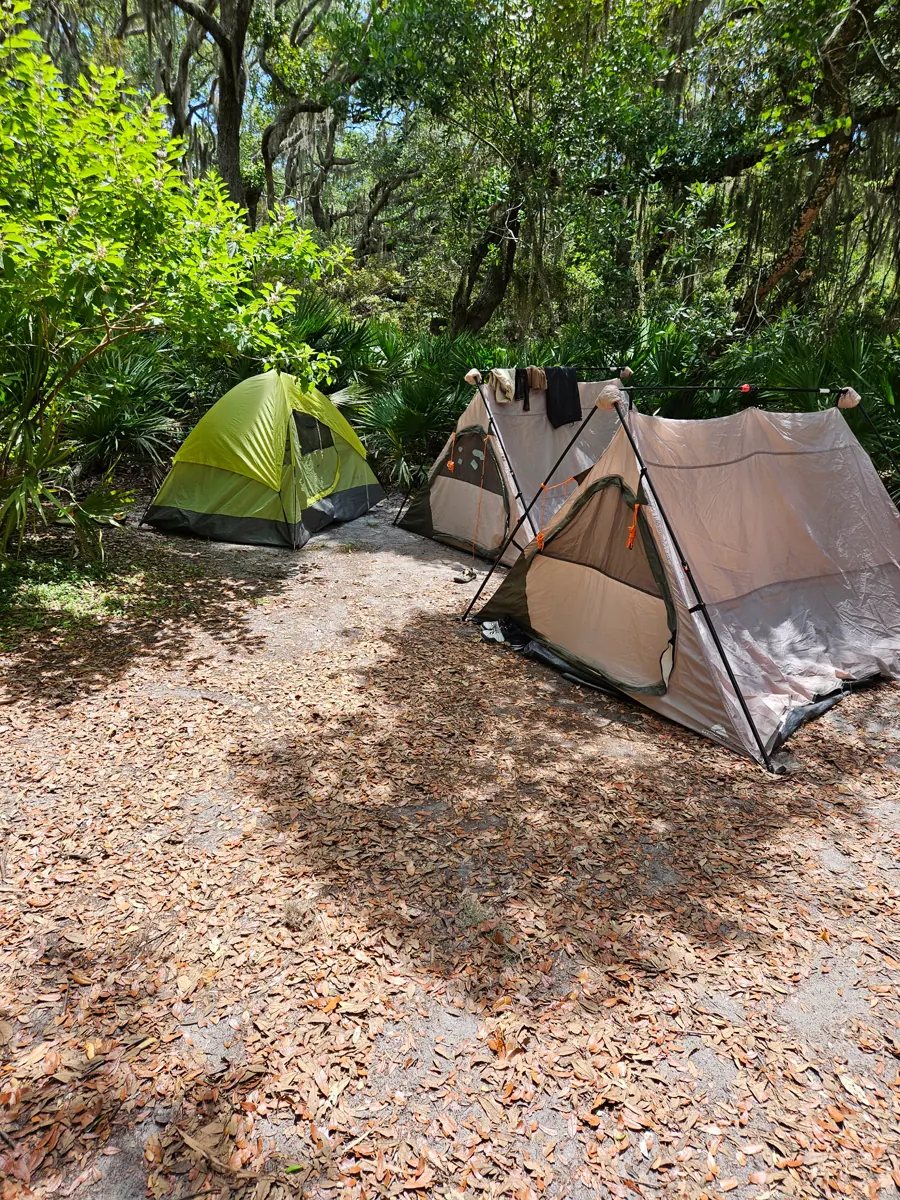 Three tents pitched on a clearing of dry leaves under live oaks and palmettos.